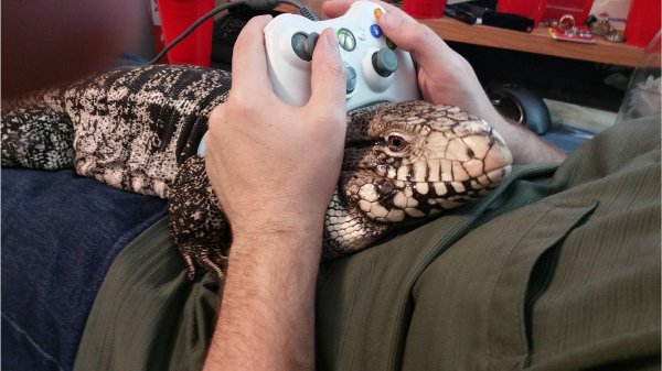 What Is Going On Here? (52 pics) What Is Going On Here? (52 pics)