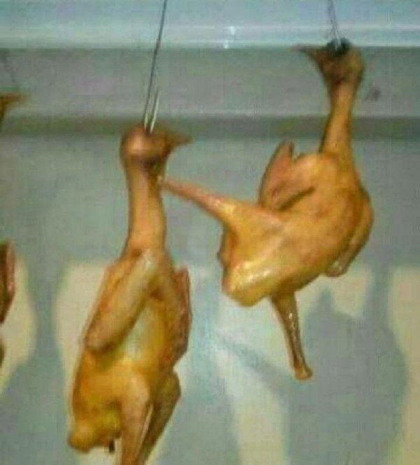 What Is Going On Here? (52 pics) What Is Going On Here? (52 pics)