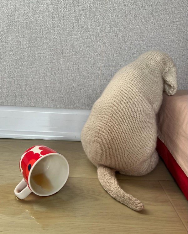 What Is Going On Here? (52 pics) What Is Going On Here? (52 pics)