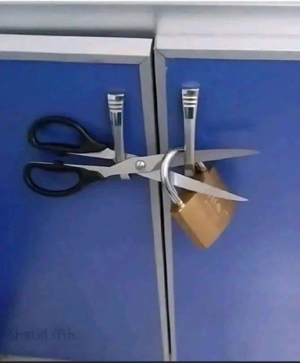 What Is Going On Here? (52 pics) What Is Going On Here? (52 pics)