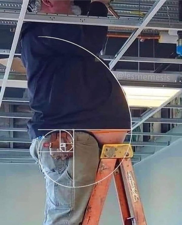 Weird Finds And Situations (25 pics) Weird Finds And Situations (25 pics)