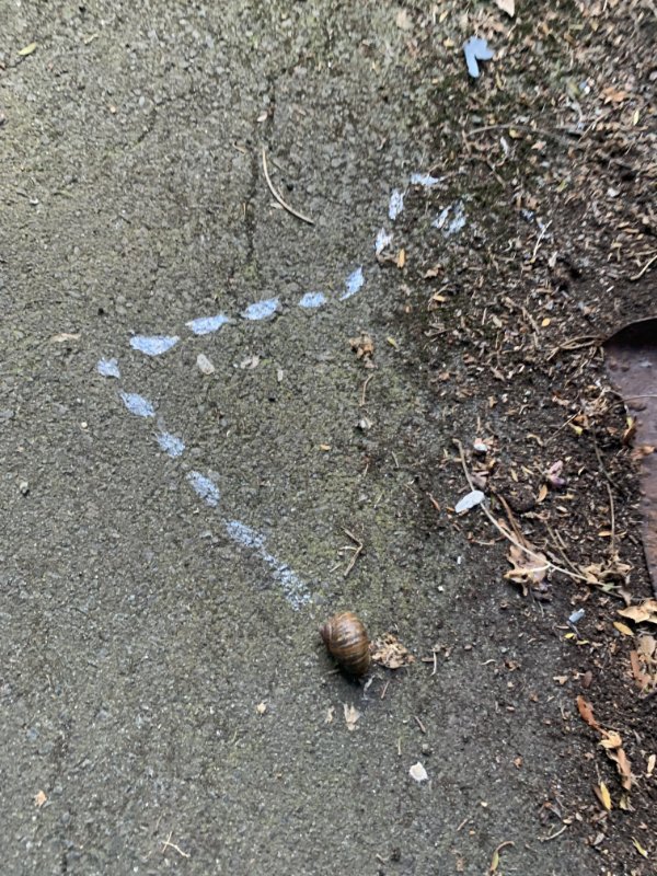 Interesting Finds (24 pics)