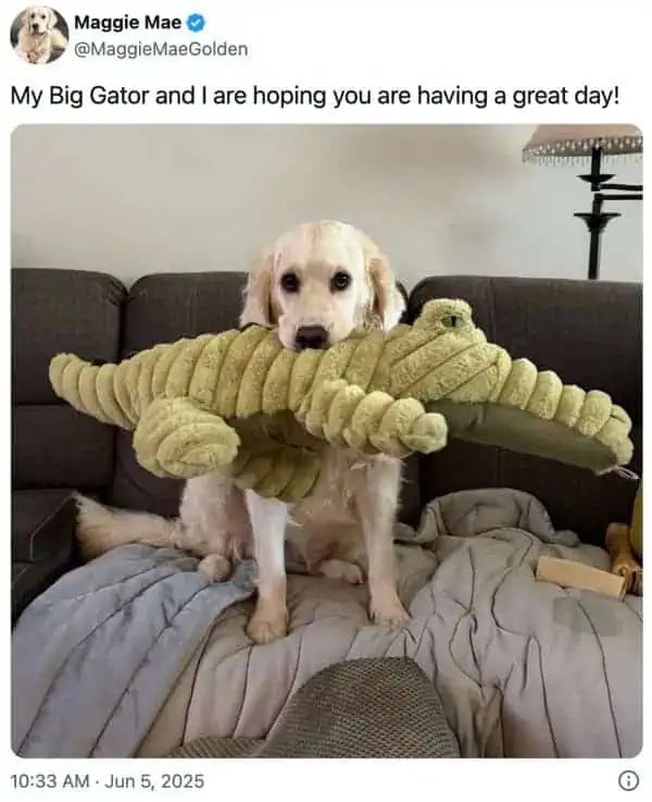 Positive Jokes And Photos (40 pics)