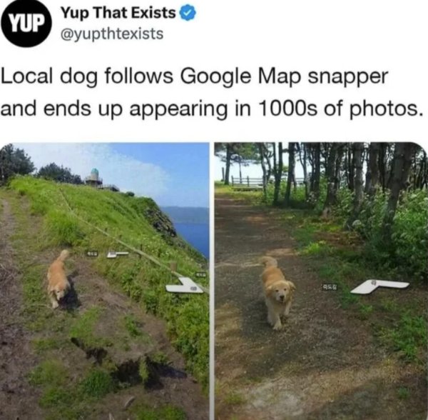 Positive Jokes And Photos (40 pics)