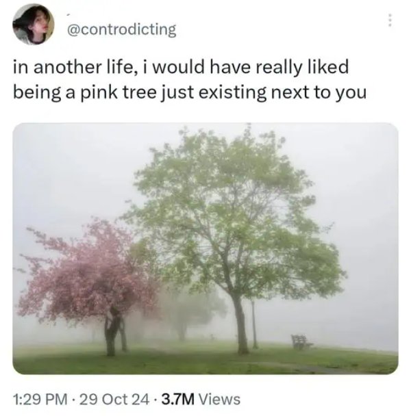 Positive Jokes And Photos (40 pics)