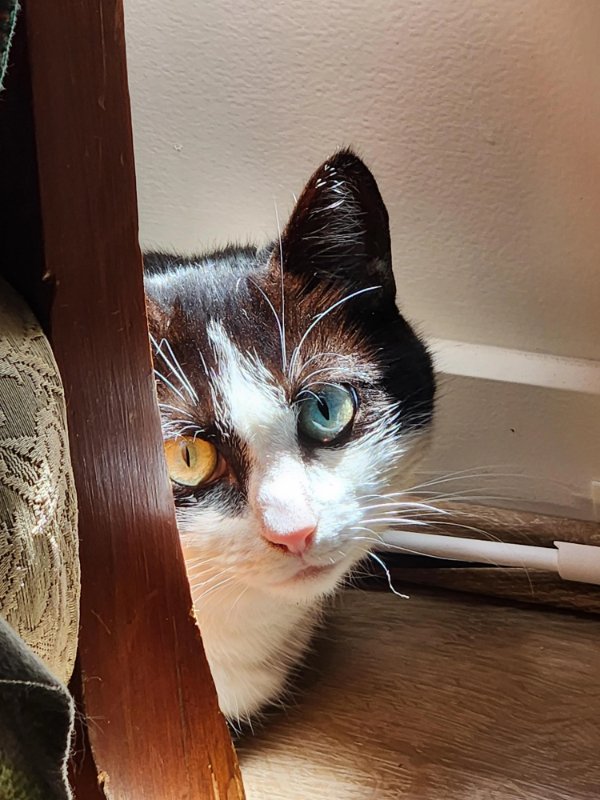 Interesting Finds (24 pics)