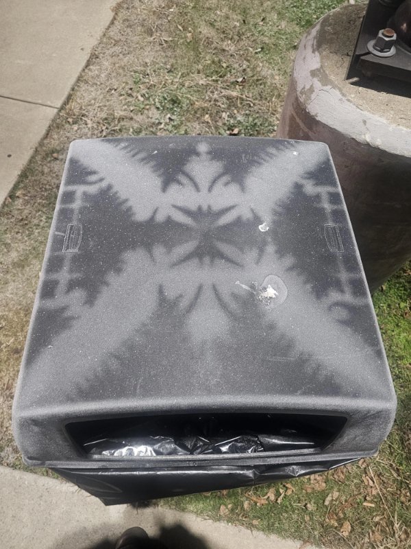 Interesting Finds (24 pics)