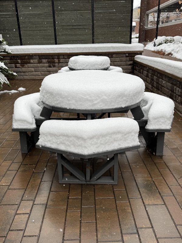 Interesting Finds (24 pics)