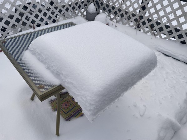 Interesting Finds (24 pics)