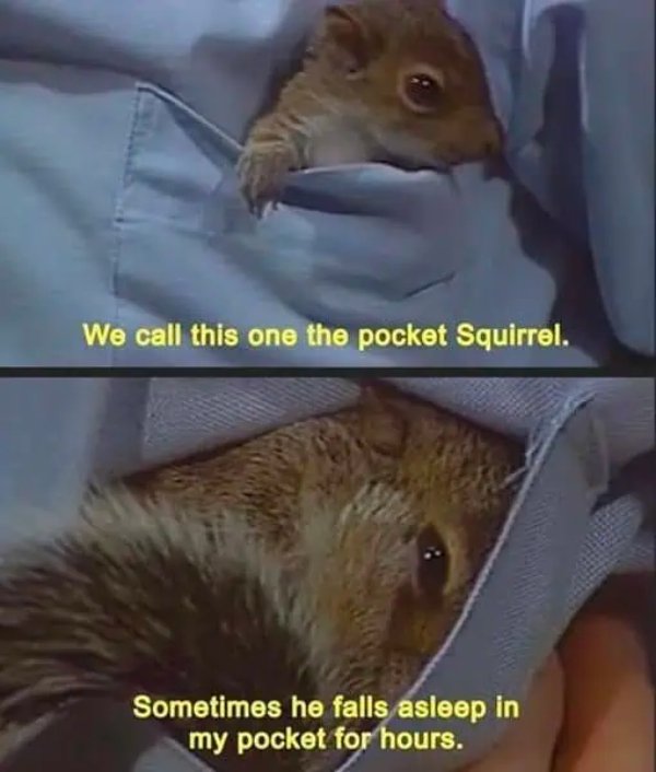 Positive Jokes And Photos (40 pics)