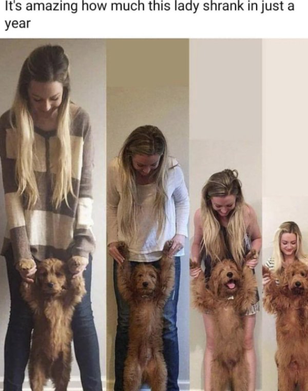 Positive Jokes And Photos (40 pics)