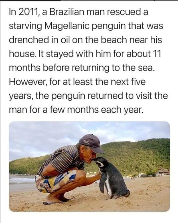 Positive Jokes And Photos (40 pics)