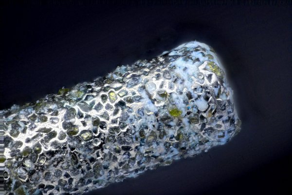 Interesting Finds (24 pics)