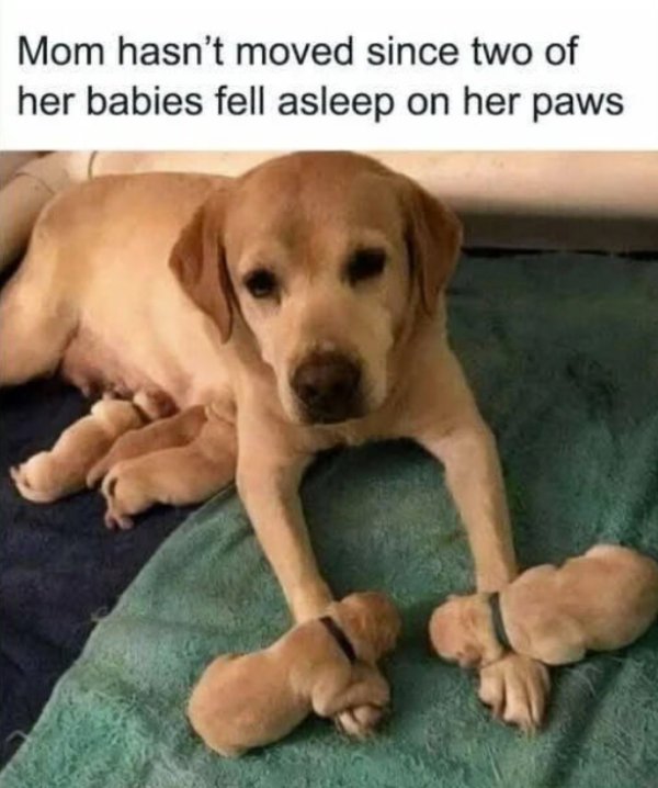 Positive Jokes And Photos (40 pics)