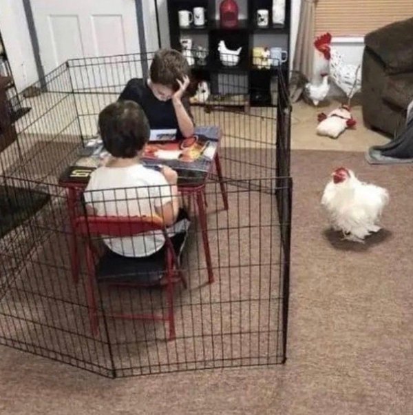 Funny Memes (26 pics) Funny Memes (26 pics)