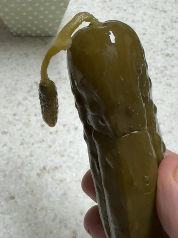 Interesting Finds (24 pics)