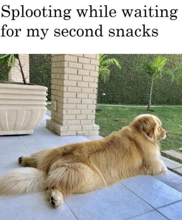 Positive Jokes And Photos (40 pics)