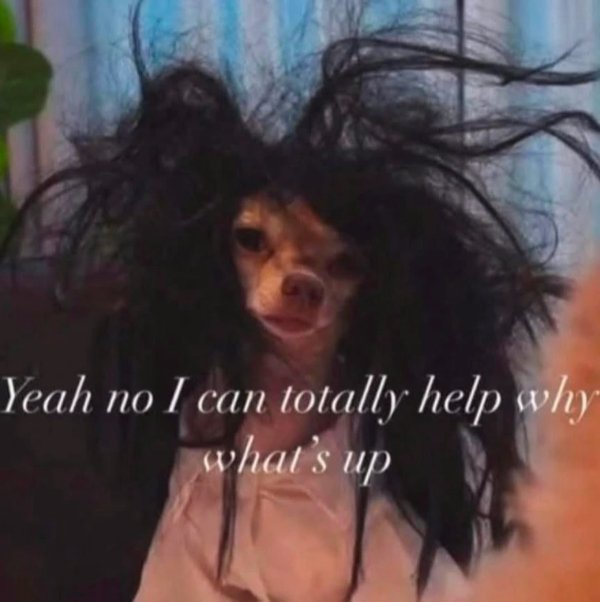 Random Memes (25 pics)