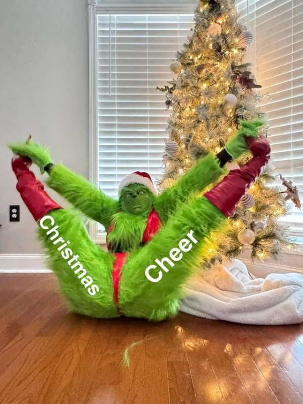 Random Memes (25 pics)