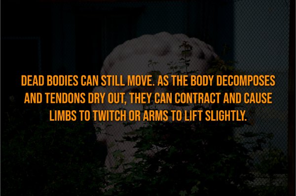 Creepy Facts (15 pics) Creepy Facts (15 pics)