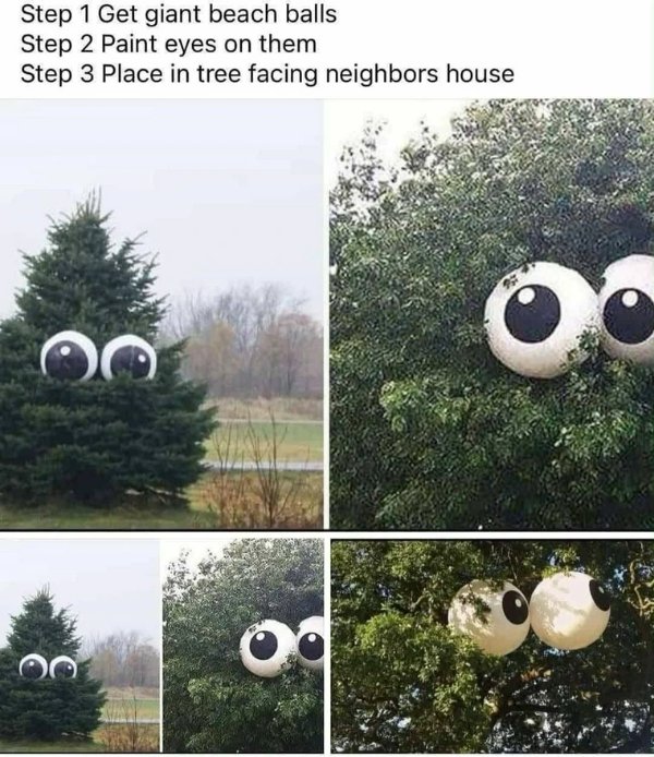 Random Memes (25 pics)