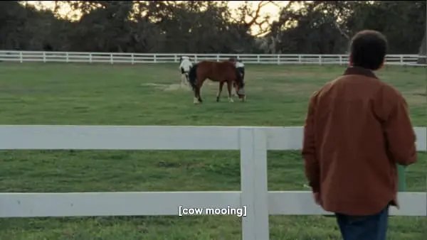 Funny And Failed Subtitles (37 pics)