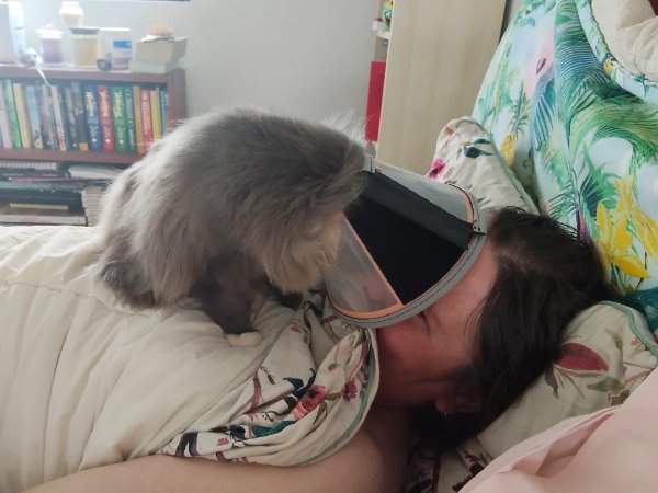 Memes And Photos With Cats (38 pics)