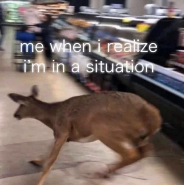 Funny Memes (45 pics) Funny Memes (45 pics)