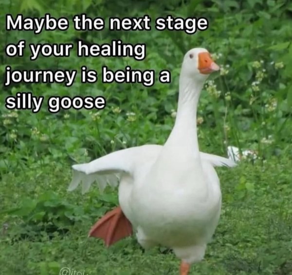 Funny Memes (45 pics) Funny Memes (45 pics)