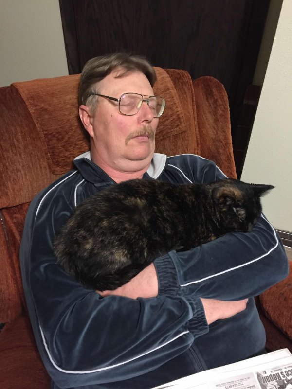 Memes And Photos With Cats (38 pics)