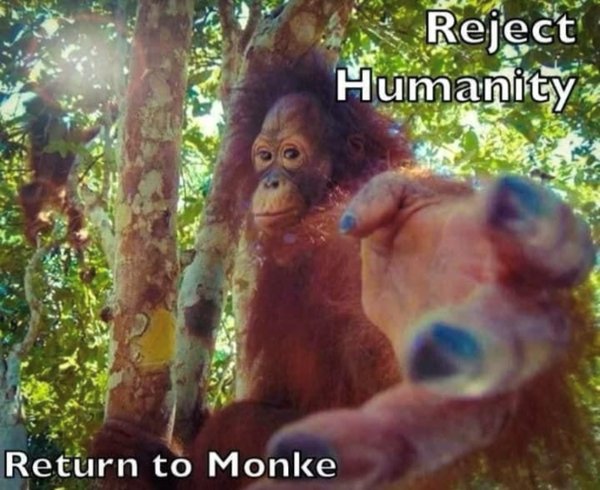 Funny Memes (45 pics) Funny Memes (45 pics)