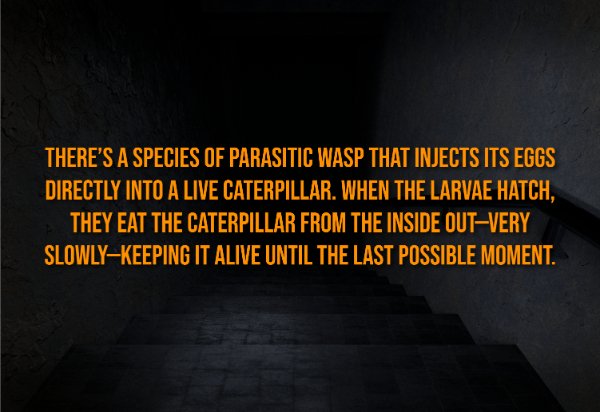 Creepy Facts (15 pics) Creepy Facts (15 pics)