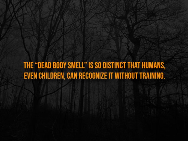 Creepy Facts (15 pics) Creepy Facts (15 pics)