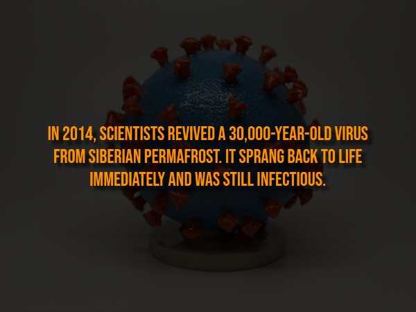 Creepy Facts (15 pics) Creepy Facts (15 pics)