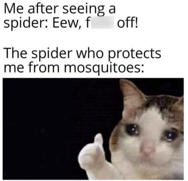 Funny Memes (45 pics) Funny Memes (45 pics)