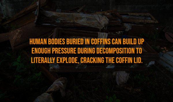 Creepy Facts (15 pics) Creepy Facts (15 pics)