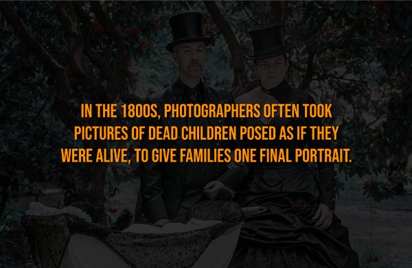 Creepy Facts (15 pics)
