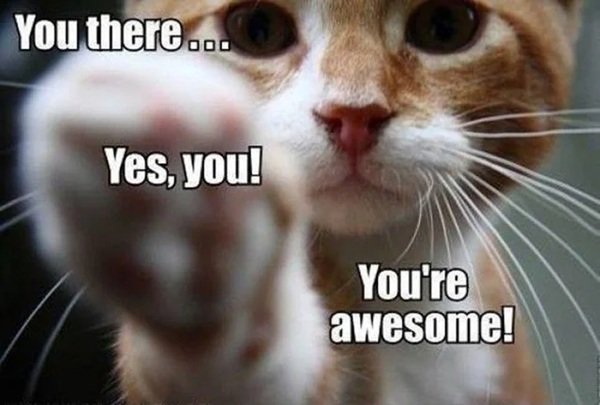 Interesting Facts (16 pics)