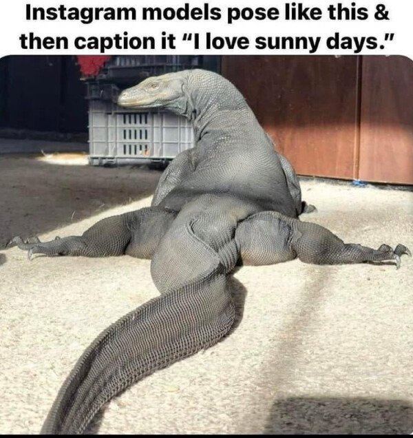 Funny Memes (32 pics) Funny Memes (32 pics)