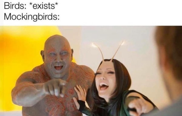 Funny Memes (32 pics) Funny Memes (32 pics)