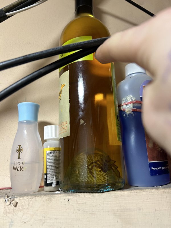 Interesting Finds (22 pics) Interesting Finds (22 pics)