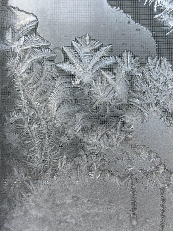 Interesting Finds (22 pics) Interesting Finds (22 pics)