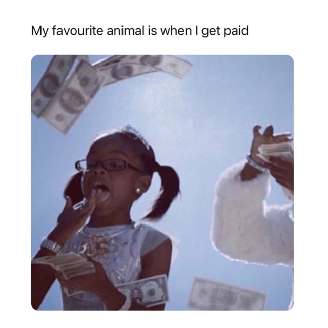 Truthful Financial Memes (30 pics) Truthful Financial Memes (30 pics)