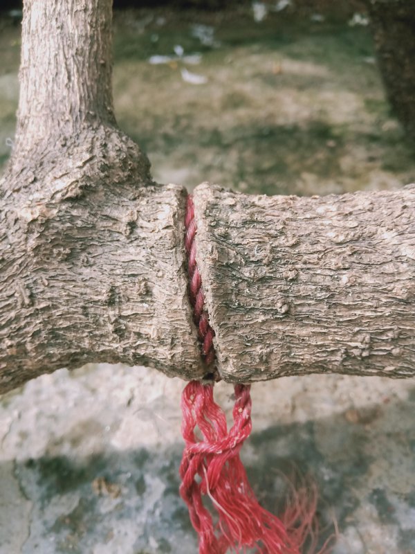 Interesting Finds (22 pics) Interesting Finds (22 pics)