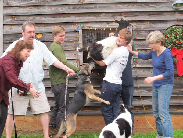 Awkward Christmas Photos (25 pics)