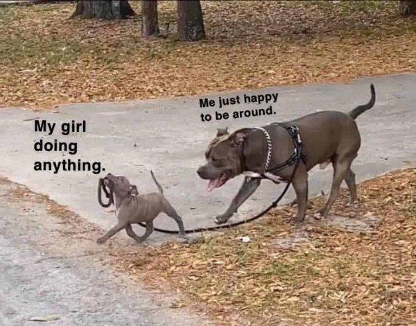 Relationship Memes (39 pics) Relationship Memes (39 pics)