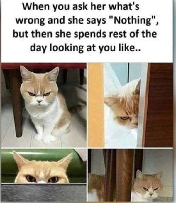 Relationship Memes (39 pics) Relationship Memes (39 pics)