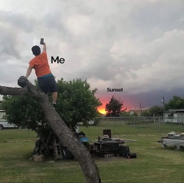 Funny Memes (20 pics)