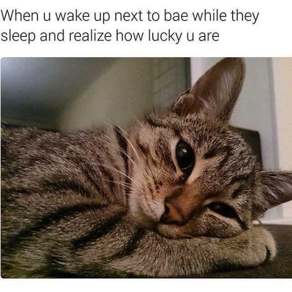Relationship Memes (39 pics) Relationship Memes (39 pics)