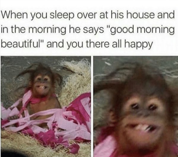 Relationship Memes (39 pics) Relationship Memes (39 pics)